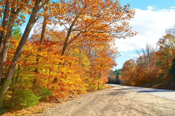 Осенняя сцена с дорогой — стоковое фото
