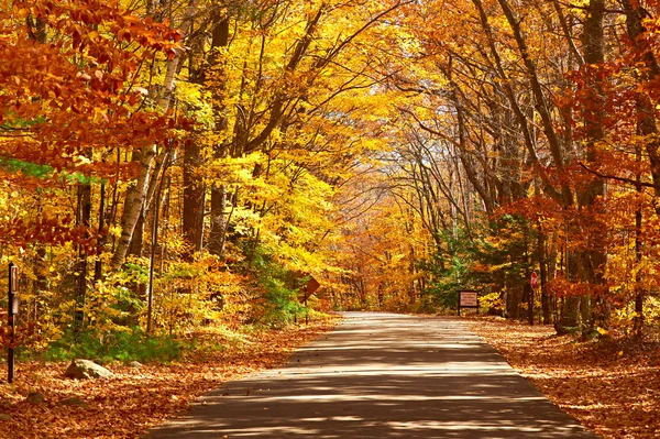 Autumn scene with road — Stock Photo, Image