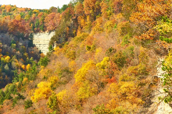 Herfst in Letchworth State Park — Stockfoto