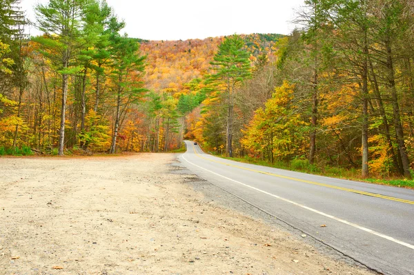 Autumn scene with road — Stock Photo, Image