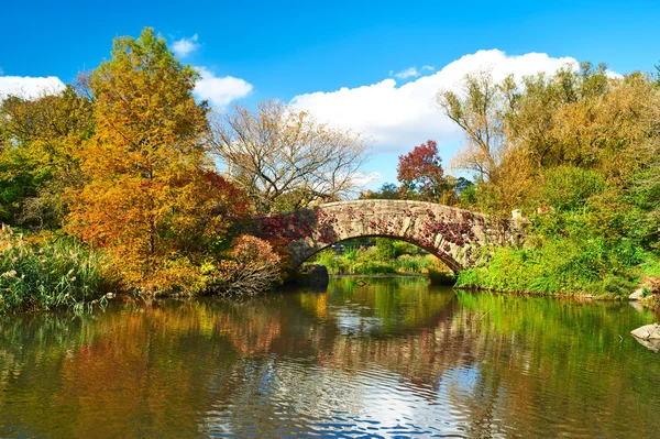 New York şehir merkezi Par — Stok fotoğraf