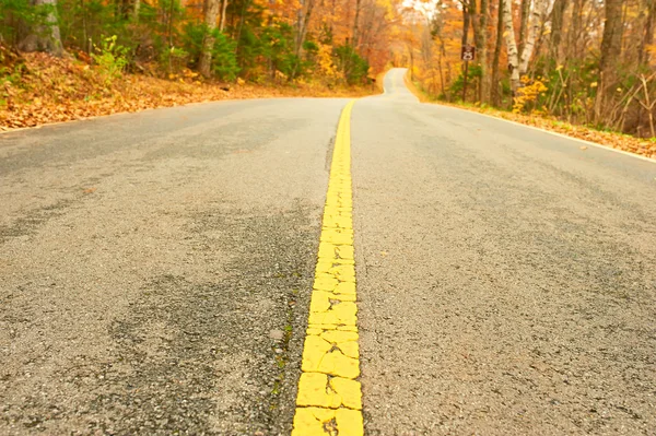 有道路的秋天场景 — 图库照片