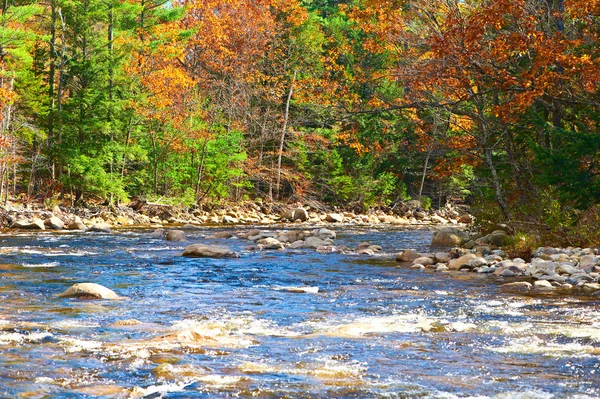Swift folyó őszi erdő — Stock Fotó