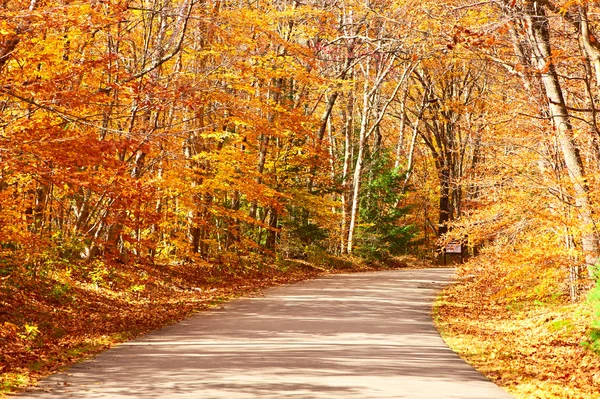 Escena de otoño con carretera — Foto de Stock