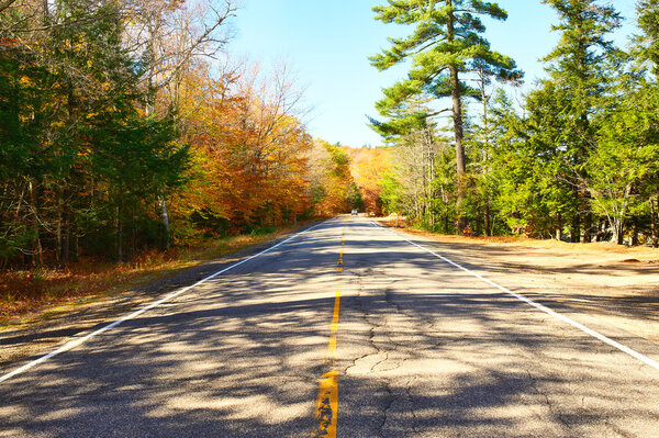 Осенняя сцена с дорогой