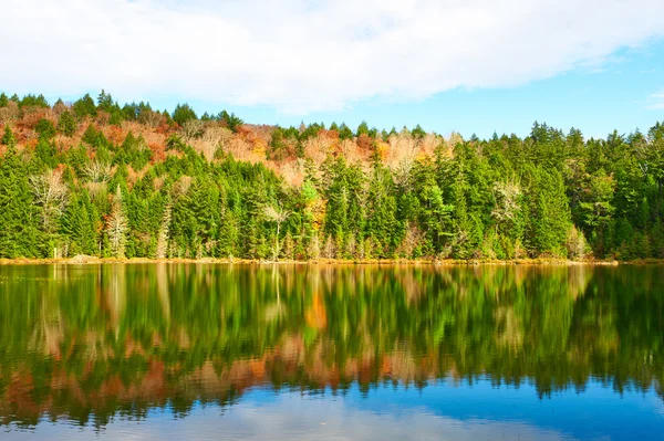 Teich im weißen Bergwald Stockbild