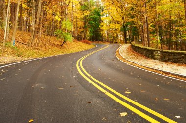Autumn scene with road in forest clipart