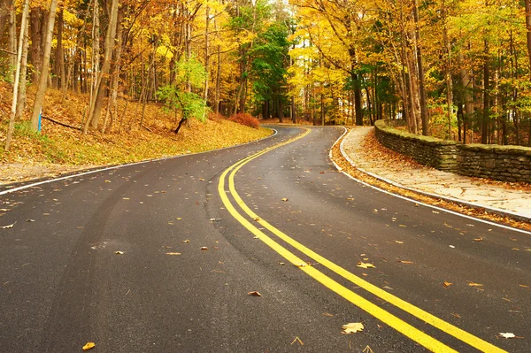 Autumn scene with road in forest — Stock Photo, Image