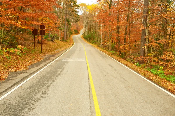 Herbstszene mit Straße — Stockfoto