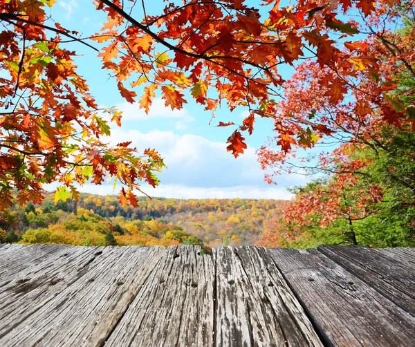 Parque Estadual de Letchworth no Outono — Fotografia de Stock