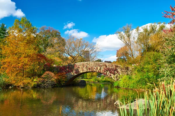 Nowy Jork Central Park — Zdjęcie stockowe