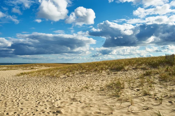 Landscape with sand dunes at Cape Cod — Stock Photo, Image