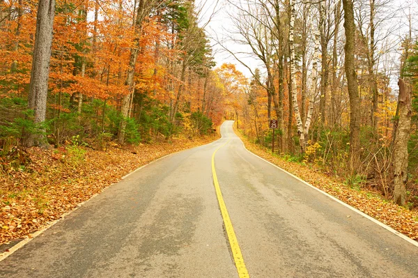 Herfst scène met weg — Stockfoto