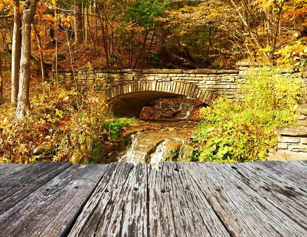 Escena de otoño en el Parque Estatal de Letchworth —  Fotos de Stock