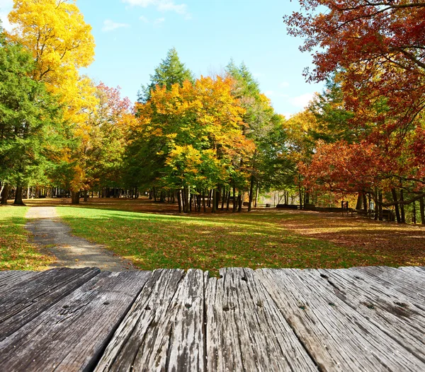 Paysage de scène d'automne — Photo