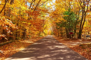 Yollu sonbahar sahnesi