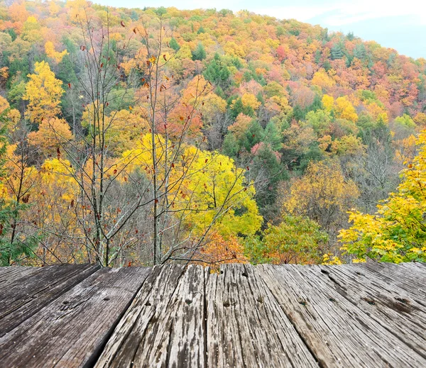 Herfst bij Robert H. Treman State Park — Stockfoto