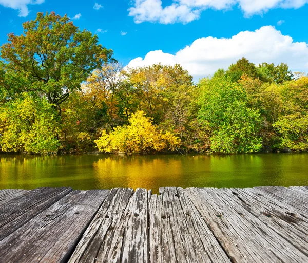 New York City Central Park — Stockfoto