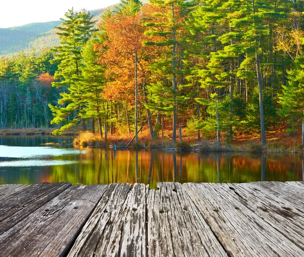 Pond in White Mountain National Forest — Stock Photo, Image