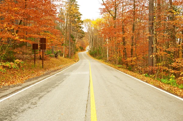Cena de outono com estrada — Fotografia de Stock