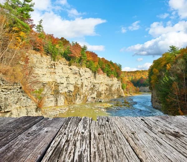 Őszi jelenet, a folyó és az erdő — Stock Fotó