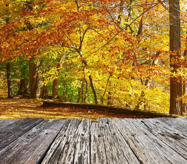 Cena de outono no Letchworth State Park — Fotografia de Stock