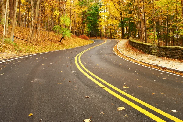 Cena de outono com estrada na floresta — Fotografia de Stock