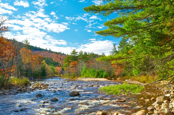 Swift River at autumn — Stock Photo, Image