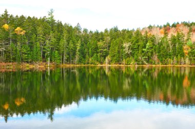 Beyaz dağ Ulusal Ormanı gölette