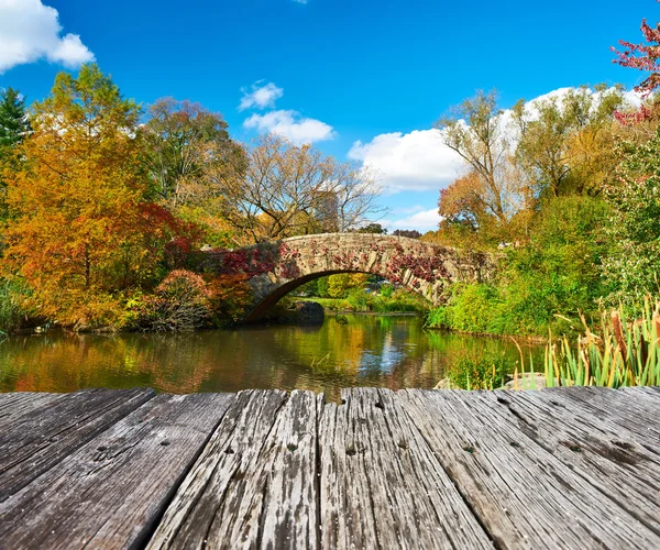 New york city central park jesienią — Zdjęcie stockowe