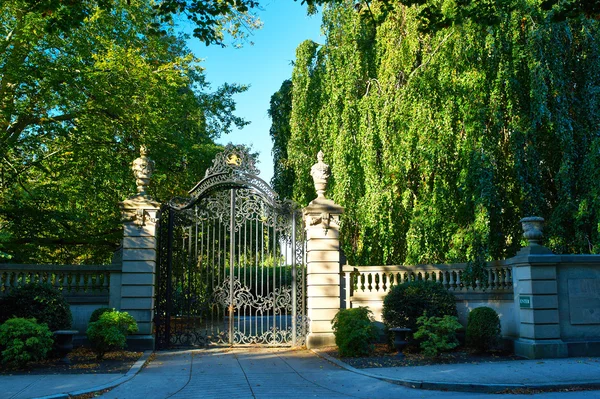 Luxury neighborhood house — Stock Photo, Image