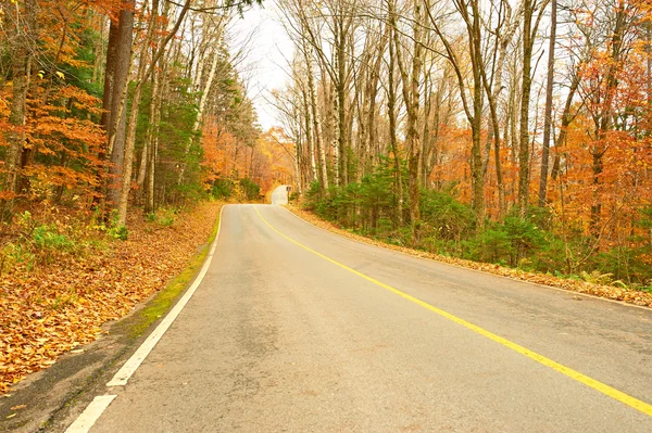 有道路的秋天场景 — 图库照片