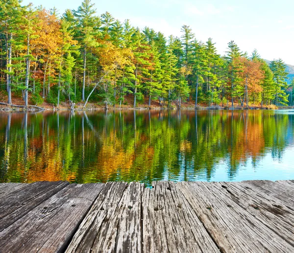 Teich im weißen Bergwald — Stockfoto