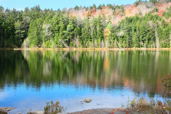 Teich im weißen Bergwald — Stockfoto
