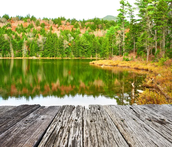 Teich im weißen Bergwald — Stockfoto