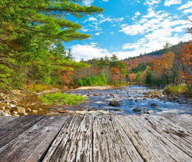 Swift nehir sonbahar