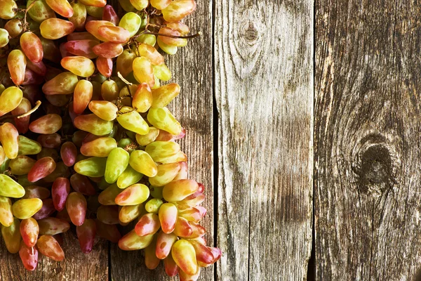 Uvas maduras de Verão — Fotografia de Stock