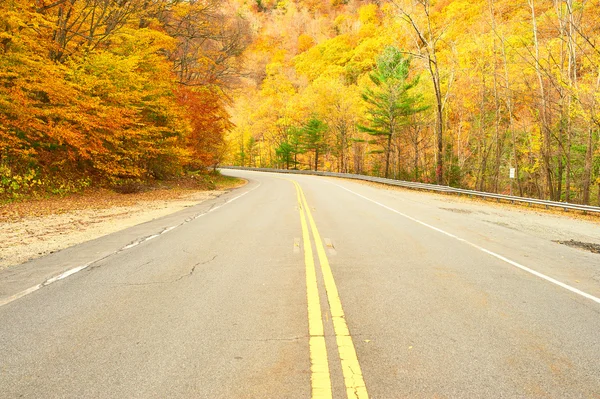 Estrada florestal de outono — Fotografia de Stock