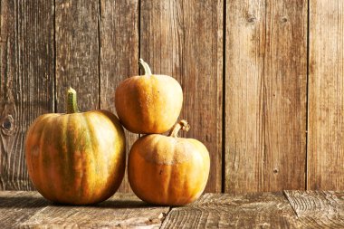Olgun Pumpkins tablo