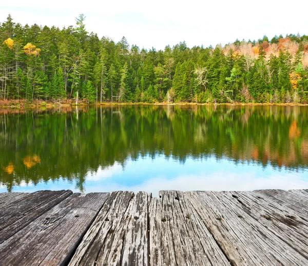 Lagoa em White Mountain National Forest — Fotografia de Stock