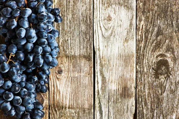 Uvas maduras de Verão — Fotografia de Stock