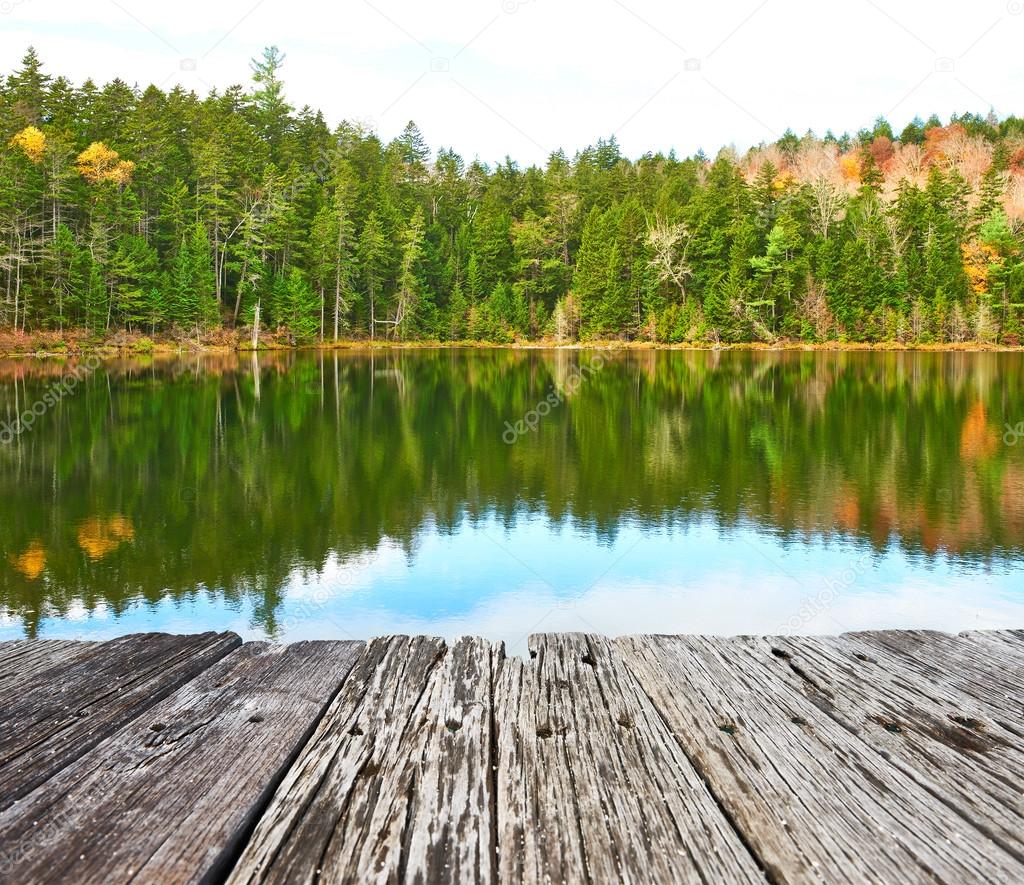 Pond in White Mountain National Forest