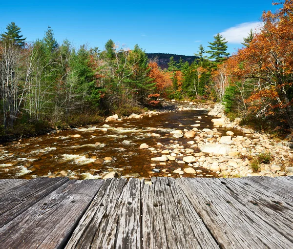 Stagno nella foresta nazionale della montagna bianca — Foto Stock