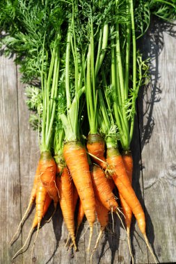 Olgun ve taze organik havuç