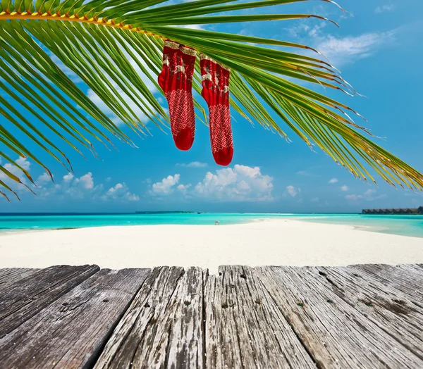 Palm stromu listí a vánoční ponožky — Stock fotografie