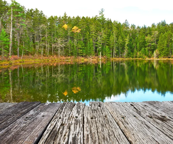 Pond in White Mountain National Forest — Fotografie, imagine de stoc