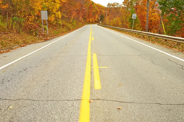 Camino forestal de otoño — Foto de Stock