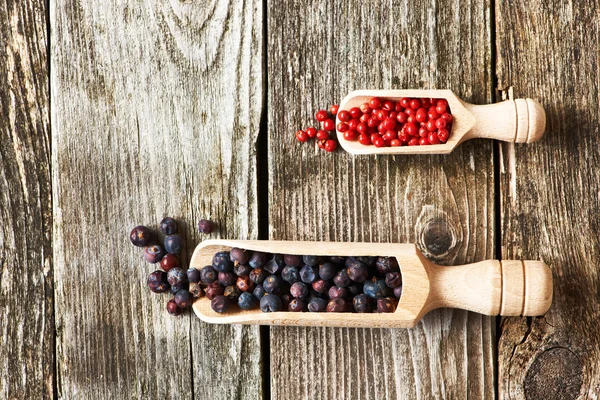 Jalovcové bobule a růžové papričky — Stock fotografie