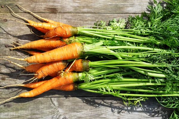 Ripe and fresh organic carrots — Stock Photo, Image