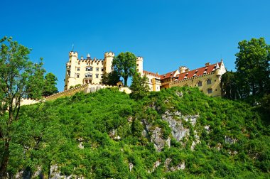 castle Hohenschwangau Almanya